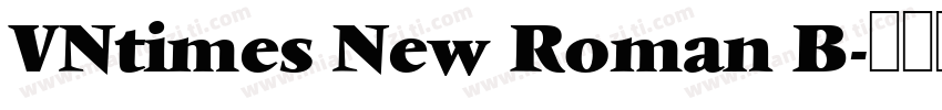VNtimes New Roman B字体转换